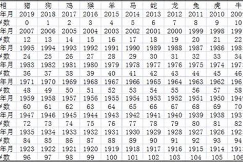 2000年 生肖|2000年出生的属什么,2000年是什么生肖